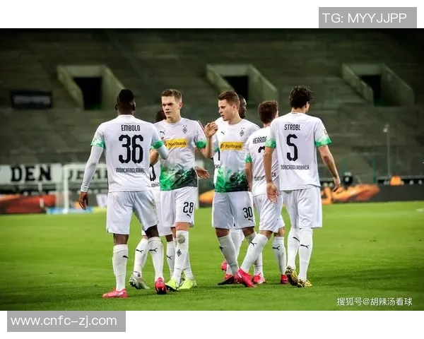 门兴客场逼平霍芬海姆，积分榜上位置不变